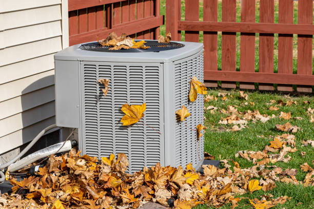 Best HVAC air duct cleaning  in St Joseph, MN